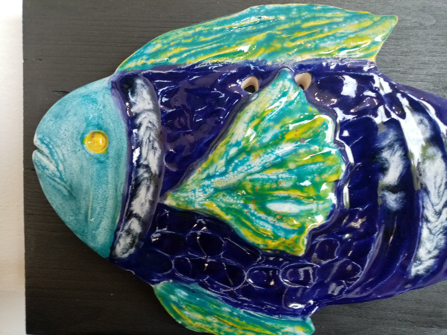Pesce Muso Blu