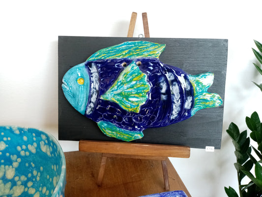 Pesce Muso Blu