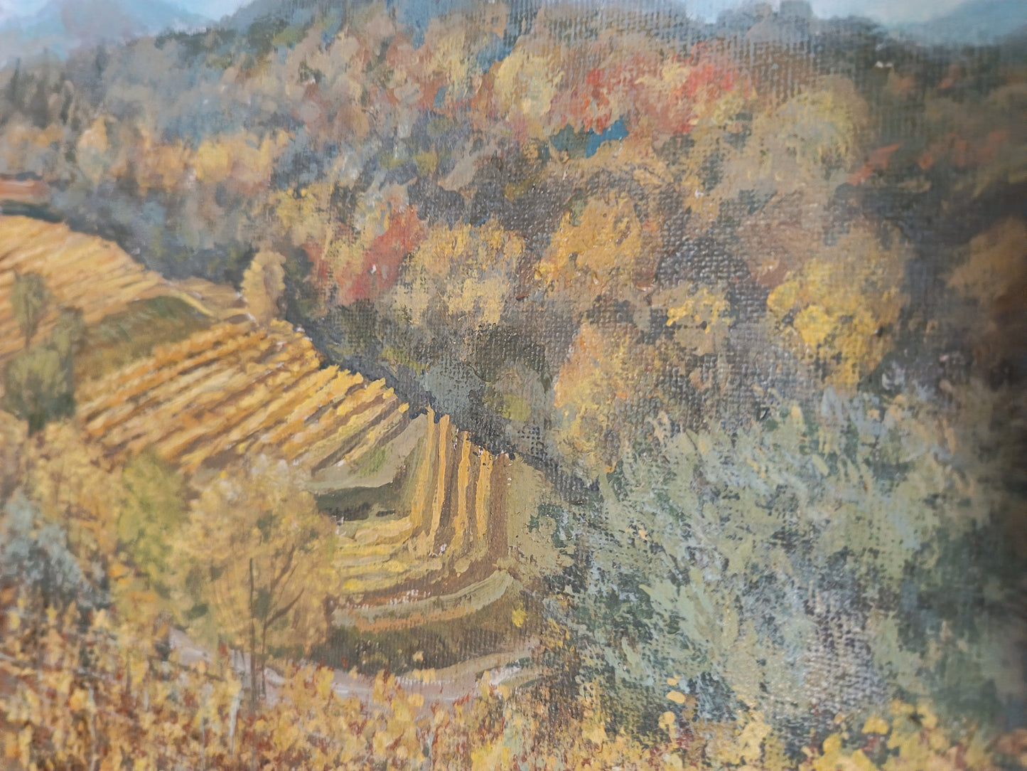 Quadro di Lorenzo Usicco paesaggio colline del Prosecco dettaglio vigne autunnali